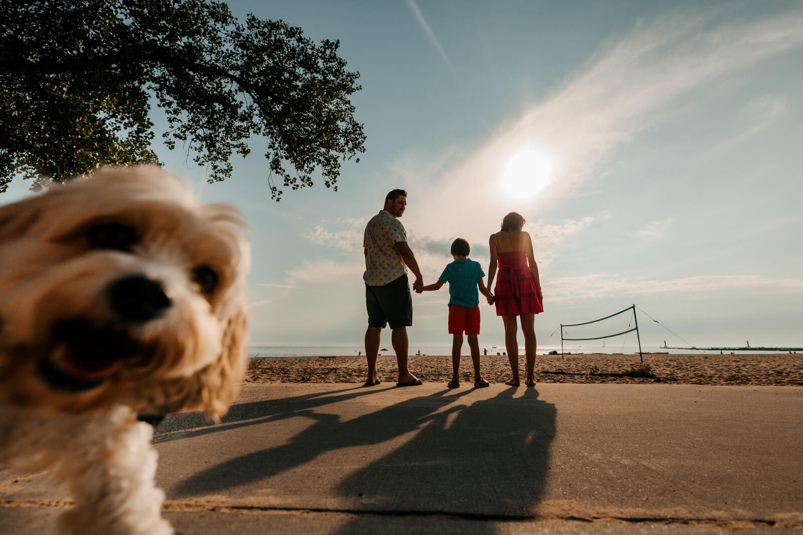 GAUPERfamilies family session photo 42