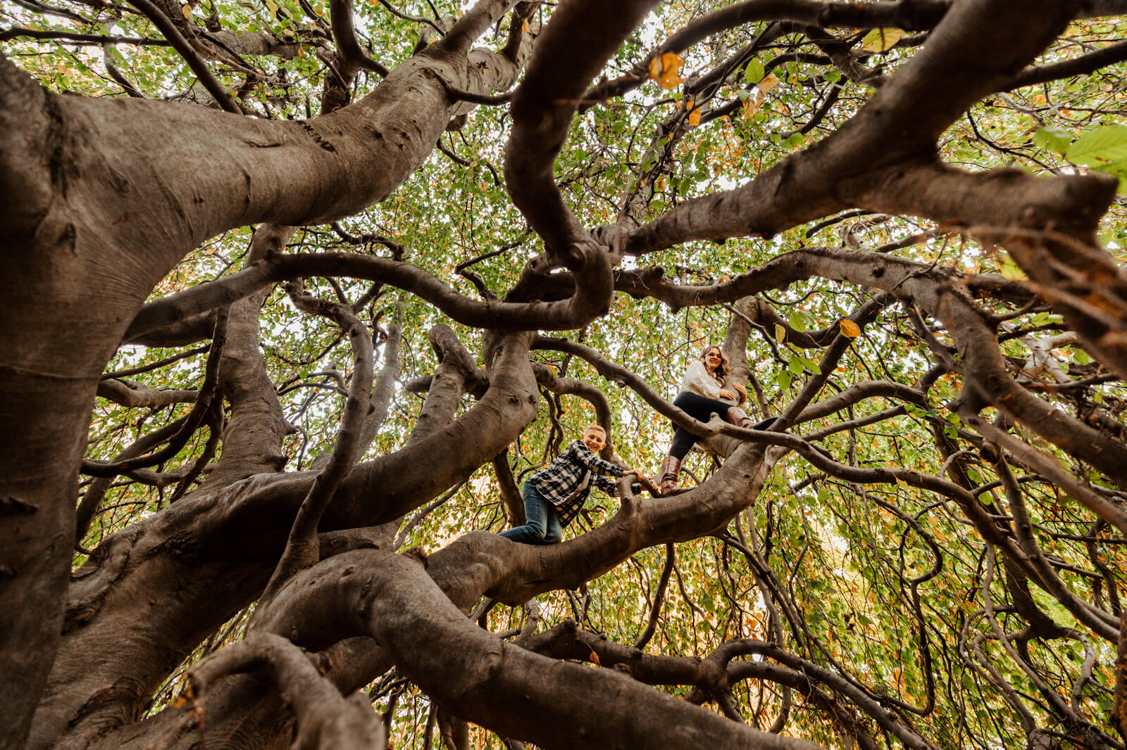 GAUPERfamilies family session photo 49